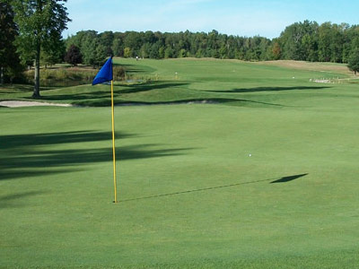 golfing